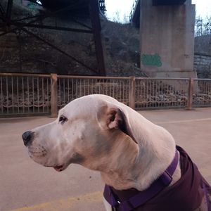 Meet your Posher, Isabel